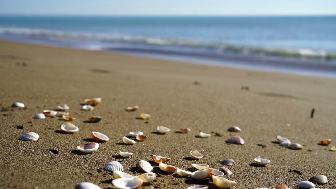 Olas de mar. Terapia de Reentrenamiento para tinnitus y acúfenos.