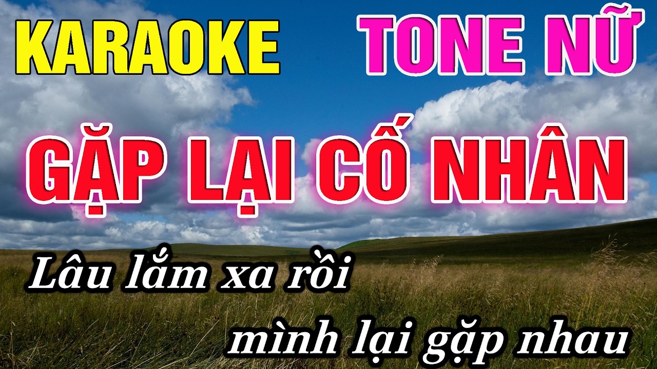 Gặp Lại Cố Nhân Karaoke Tone Nữ Karaoke Đức Duy - Beat 2026