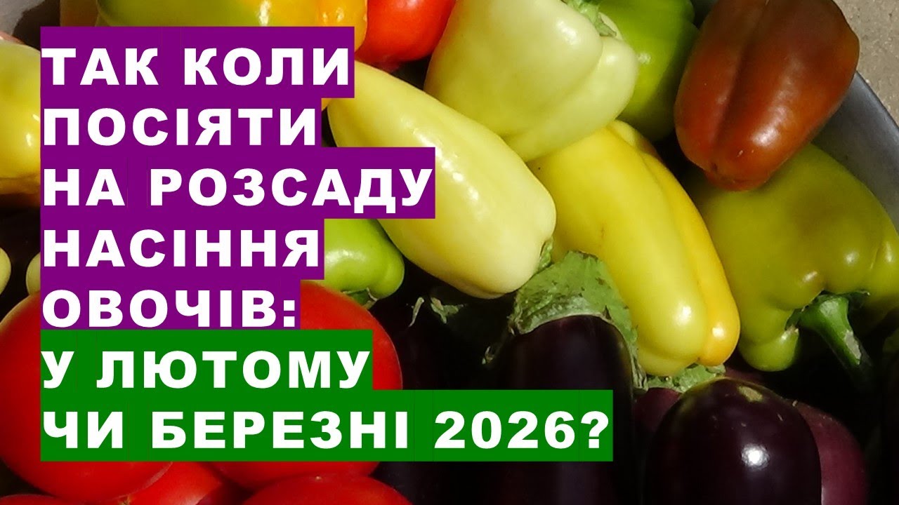Найкращі дні лютого та березня 2026 року для посадки помідорів, перцю, баклажанів та усіх 