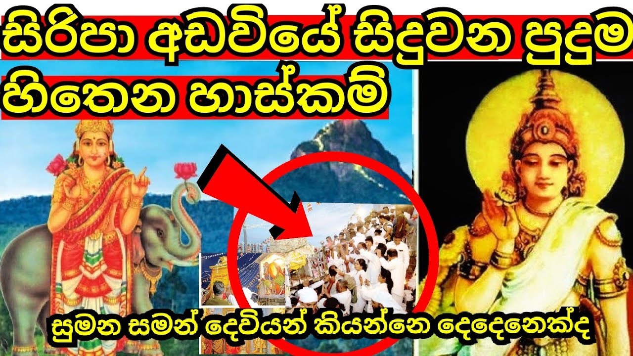 සිරිපා අඩවියේ සිදුවන සමන් දෙවියන්ගේ හාස්කම්