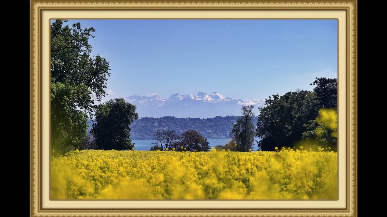 4k Art Screen TV frame Mountain Trees Flowers