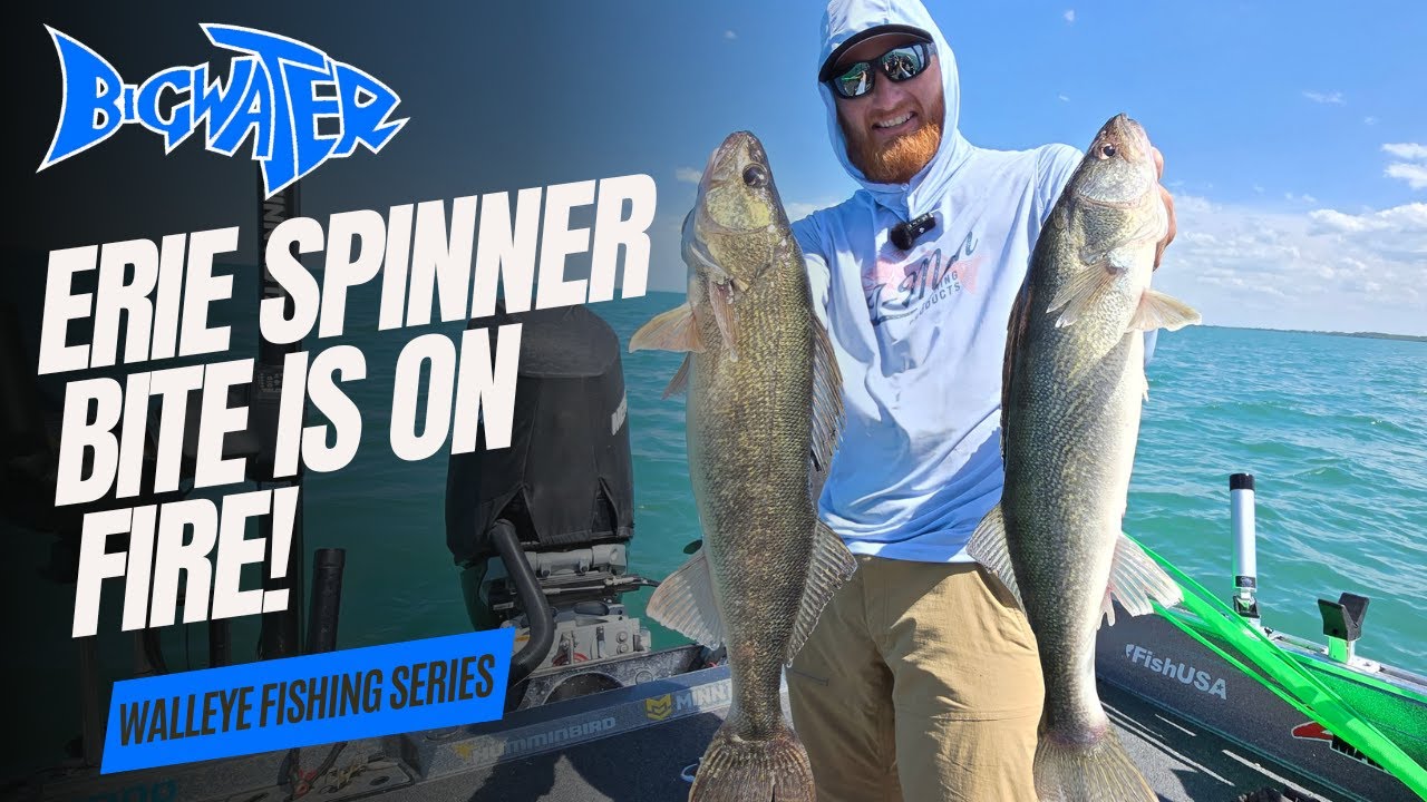 Spinner Fishing for Lake Erie Walleye is on Fire!