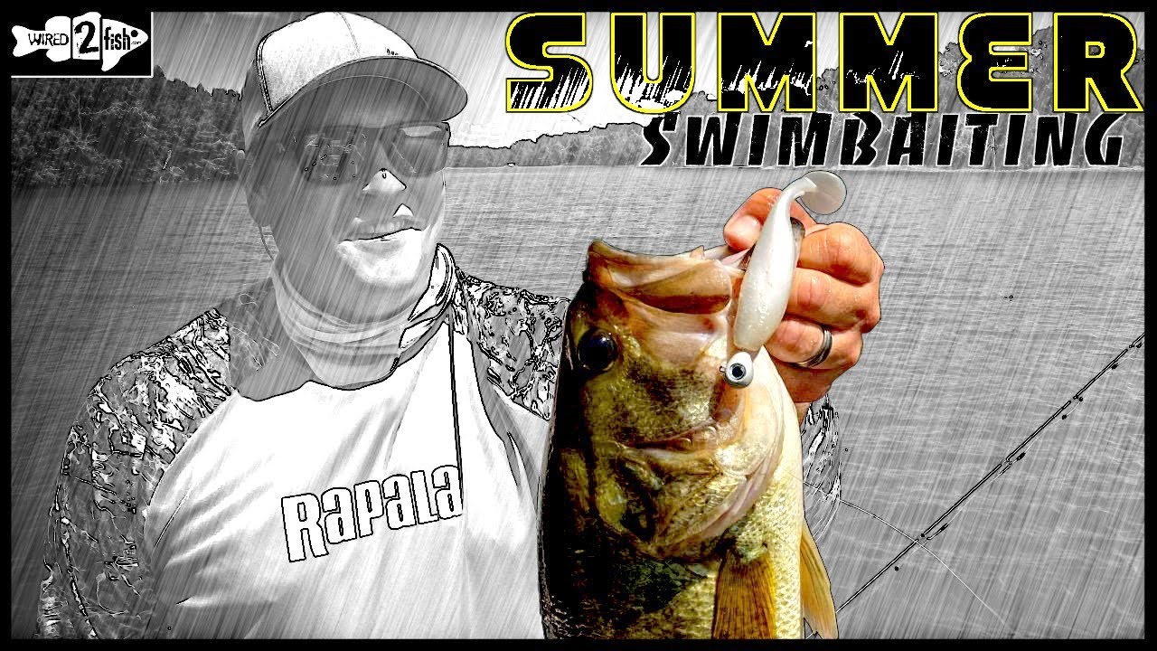 4 Tips for Paddle Tail Swimbait Fishing Summer Bass