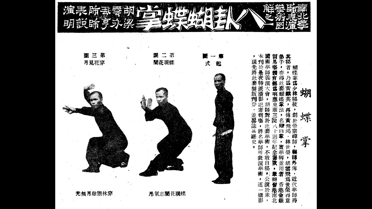 洪家蝴蝶掌 / Hung Gar Wu Dip Jeung / Hung Gar Family Butterfly Palm (Workshop 2017)