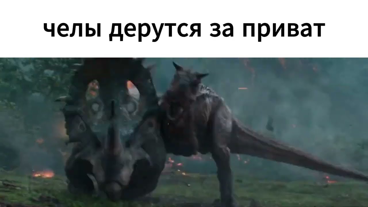 Vensoly начало 8 сезона