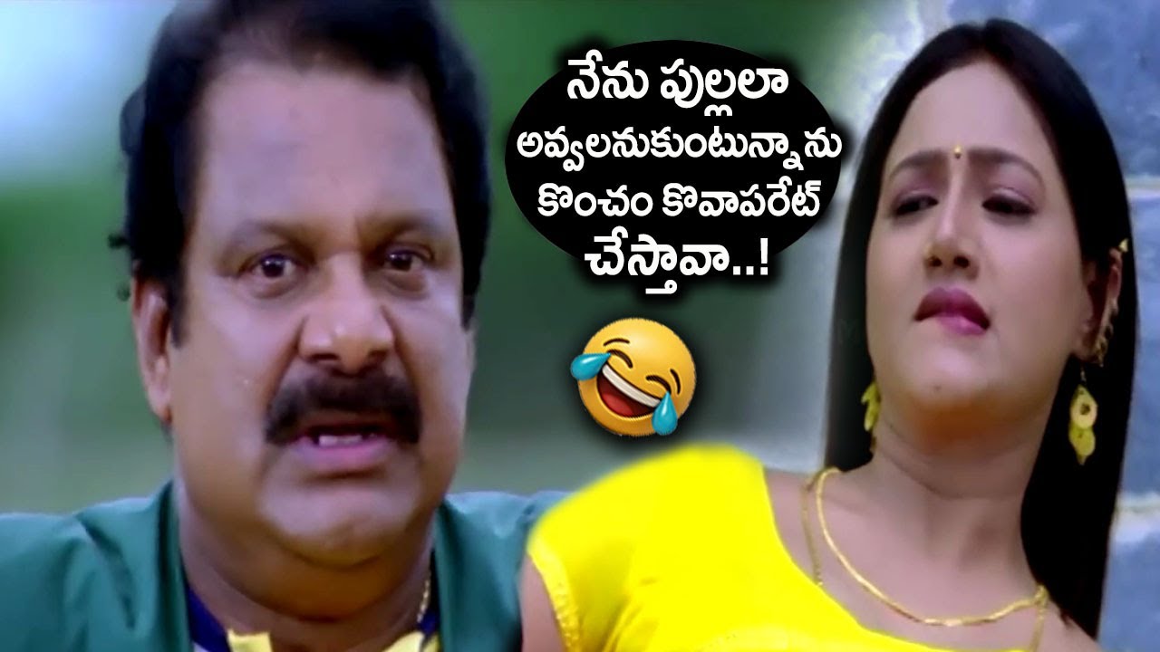 నేను పుల్లలా అవ్వలనుకుంటున్నాను కొంచం కొవాపరేట్ చేస్తావా..! | Darmavarapu Subhramanyam Comedy Scenes