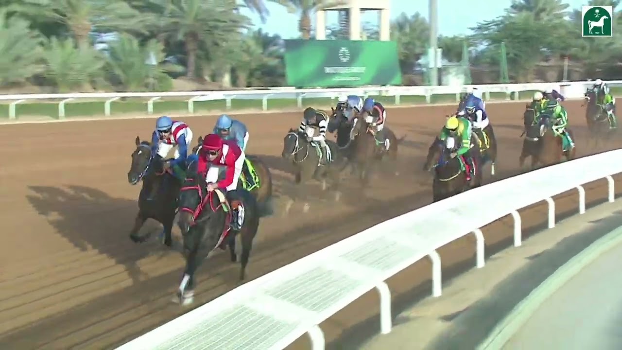 الشوط الرابع للحفل 66 بموسم سباقات الرياض