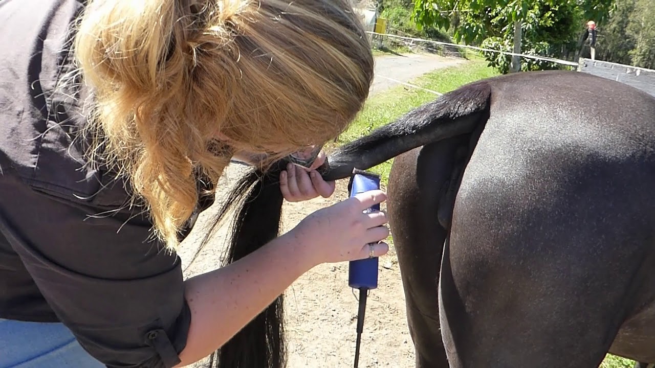 How to clip a tail