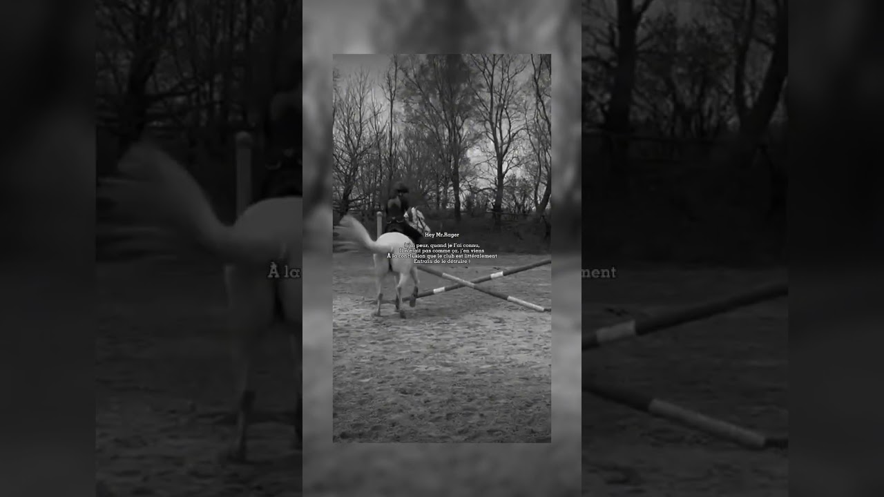 2 ans..pass&eacute; d&rsquo;un cheval heureux qui s&rsquo;exprime &agrave; un cheval peureux qui ne s&rsquo;exprime plus&hellip;💔