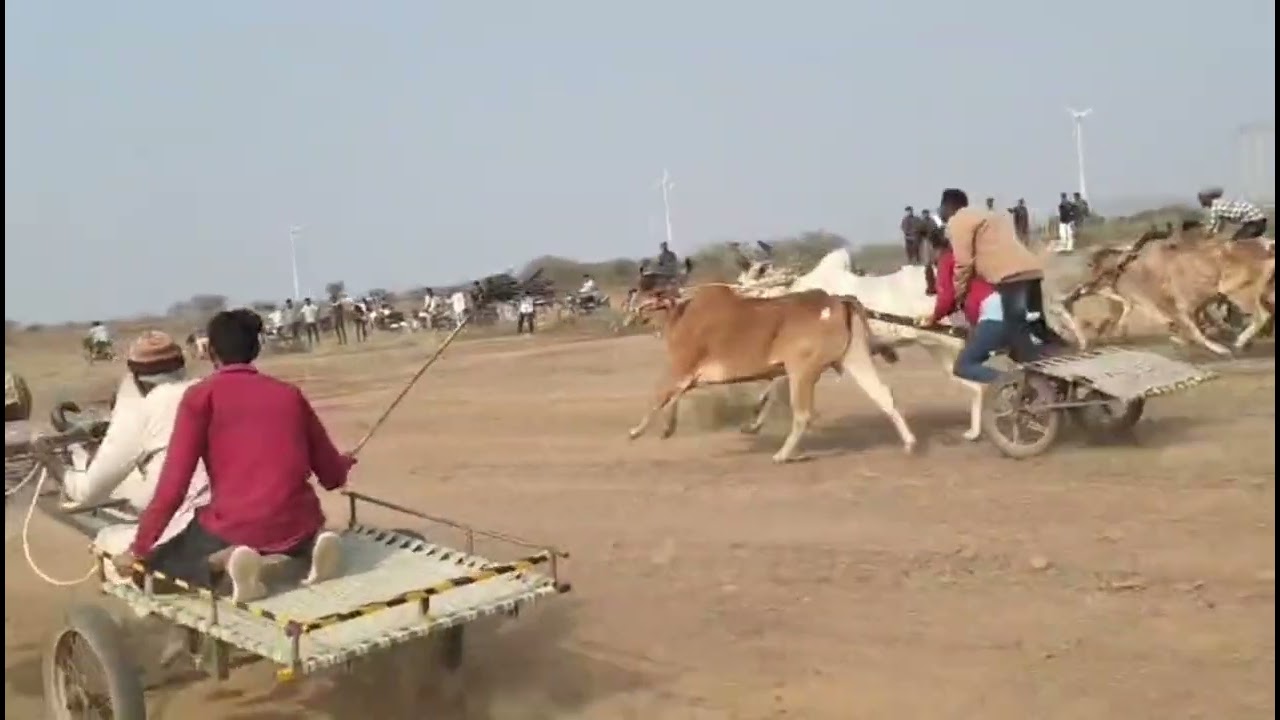 હજરત ગેબનસા પીર ઉરસ મૂબારક ગામ પીર લાખાસર  તારી /3/1/226