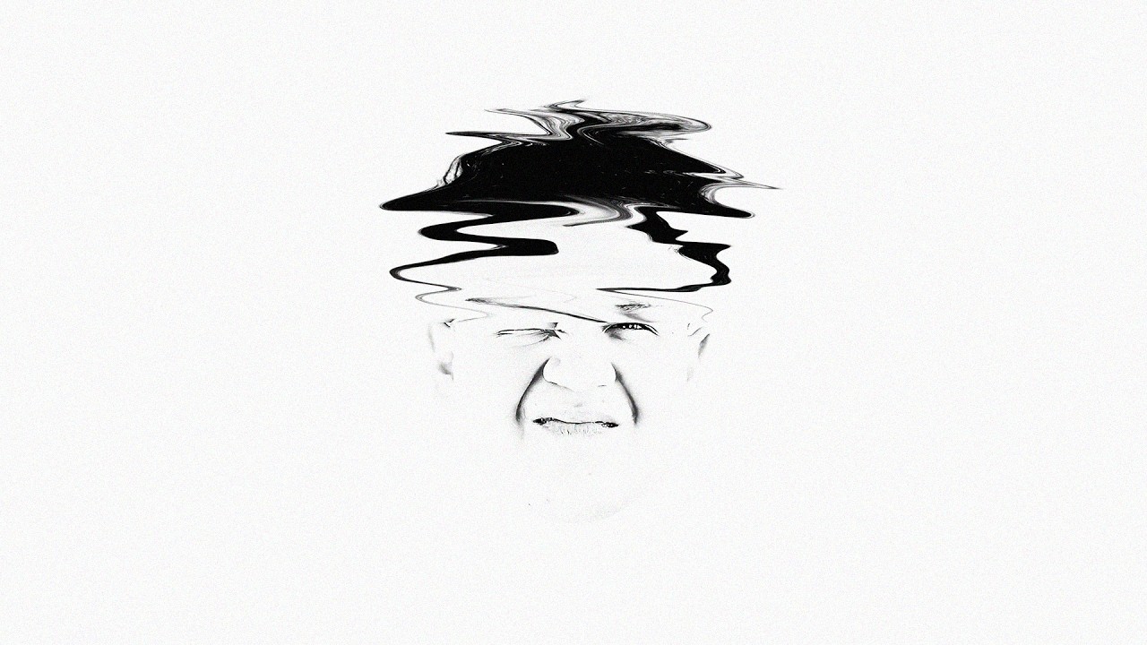 vshe - in the shadows