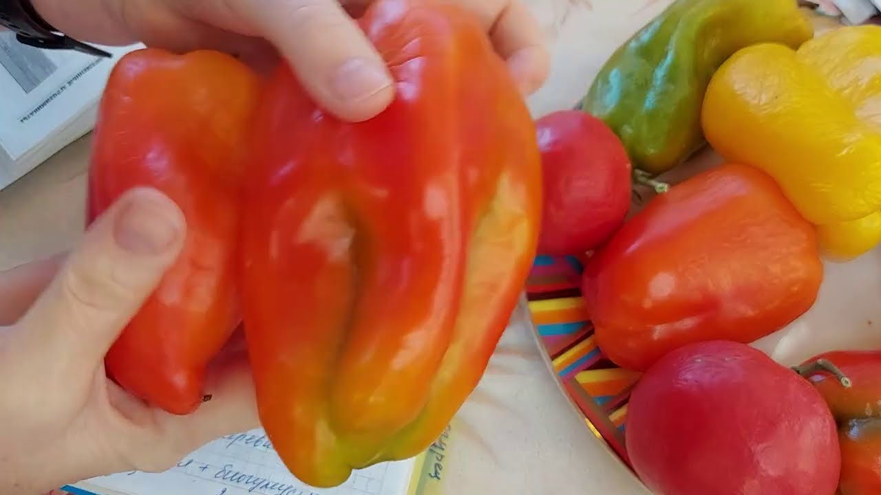 Подкормки сладкого перца и баклажанов!
