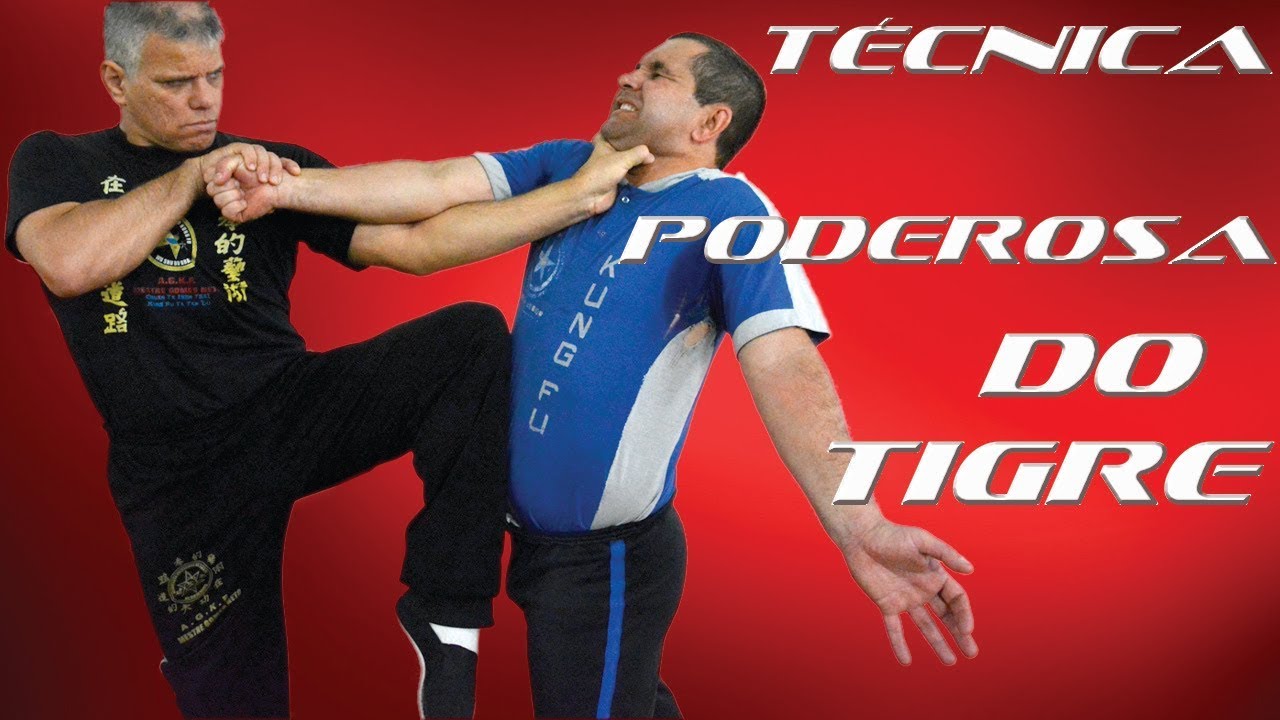 KUNG FU TÉCNICA DO TIGRE, Estilo Chuan Tã Ísso, Artes Marciais Chinesa - Autodefesa