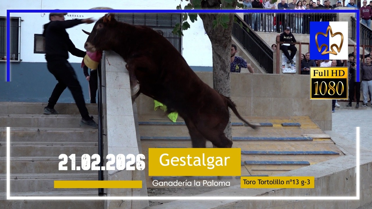 Gestalgar 21/02/2026 ▪️ Ganadería la Paloma ▪️ A un nivel INSUPERABLE