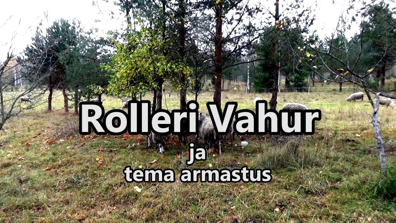 Vahuri armastus