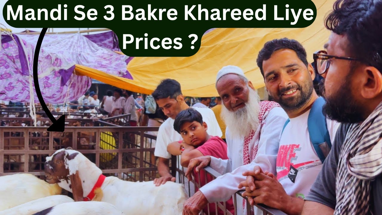 Ghazipur Bakra Mandi Full Tour | Itne High Price Bakre 😱 | Bakra Eid Ke Liye Bakre Khareed Liye 2025