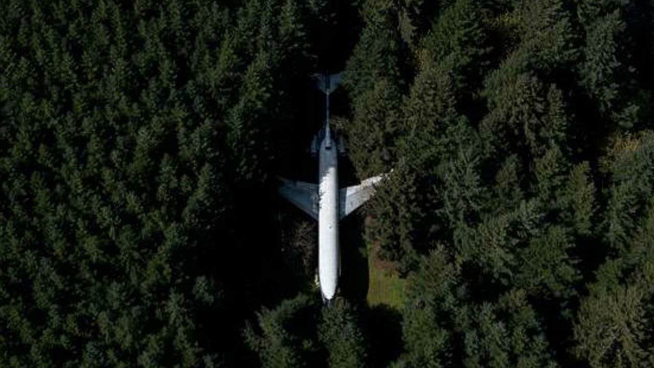 25 Datos Inútiles #20 | Un avión en medio del bosque
