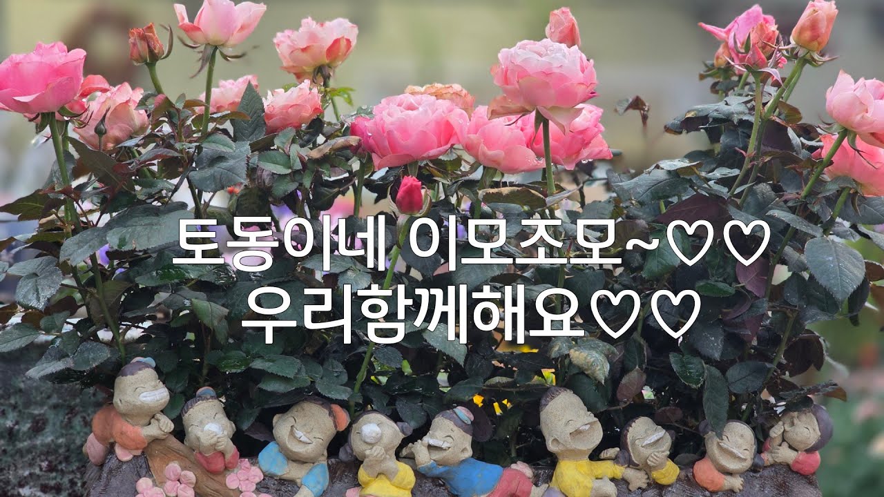 토동이네  이모조모~함께해요♡♡