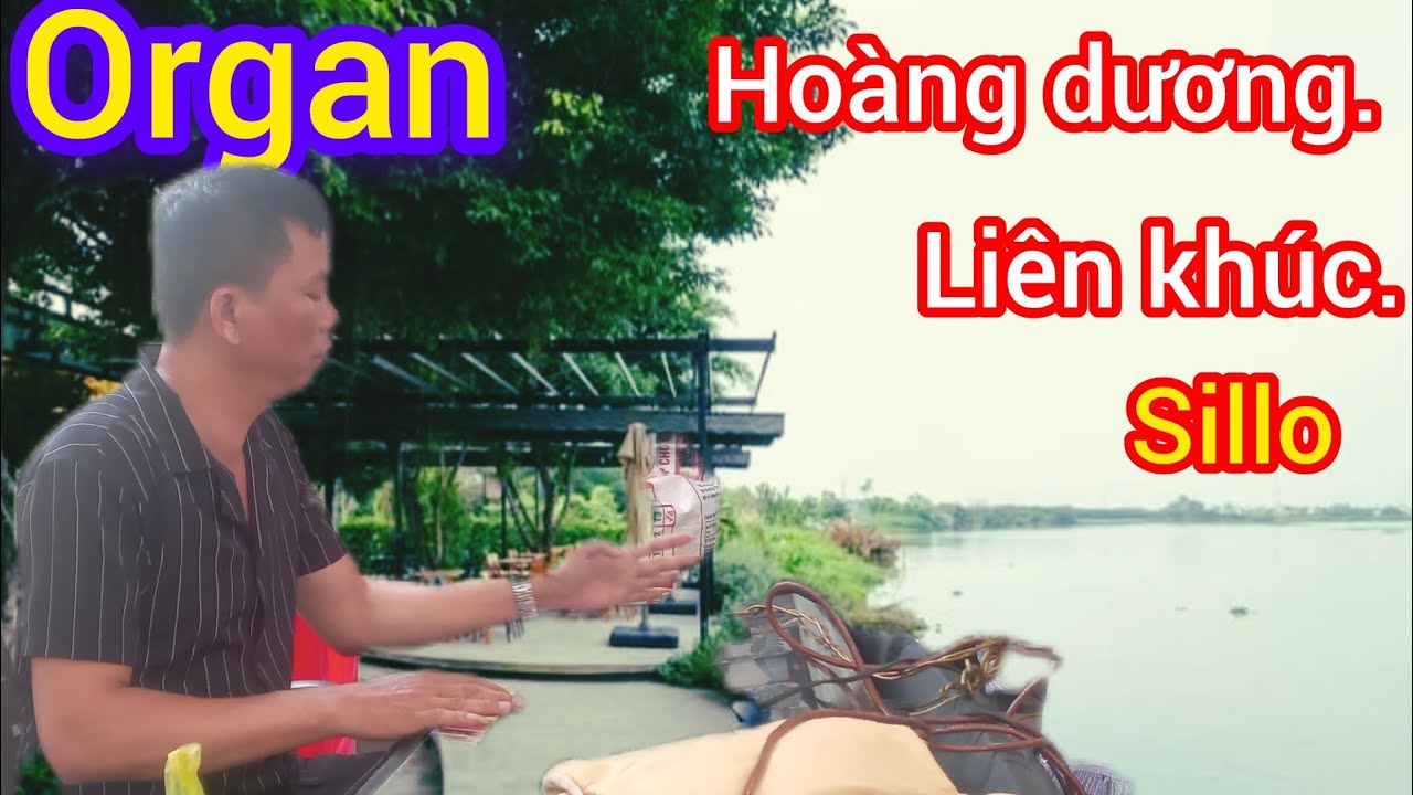 hoàng dương organ. liên khúc sillo #utdautieng [][]