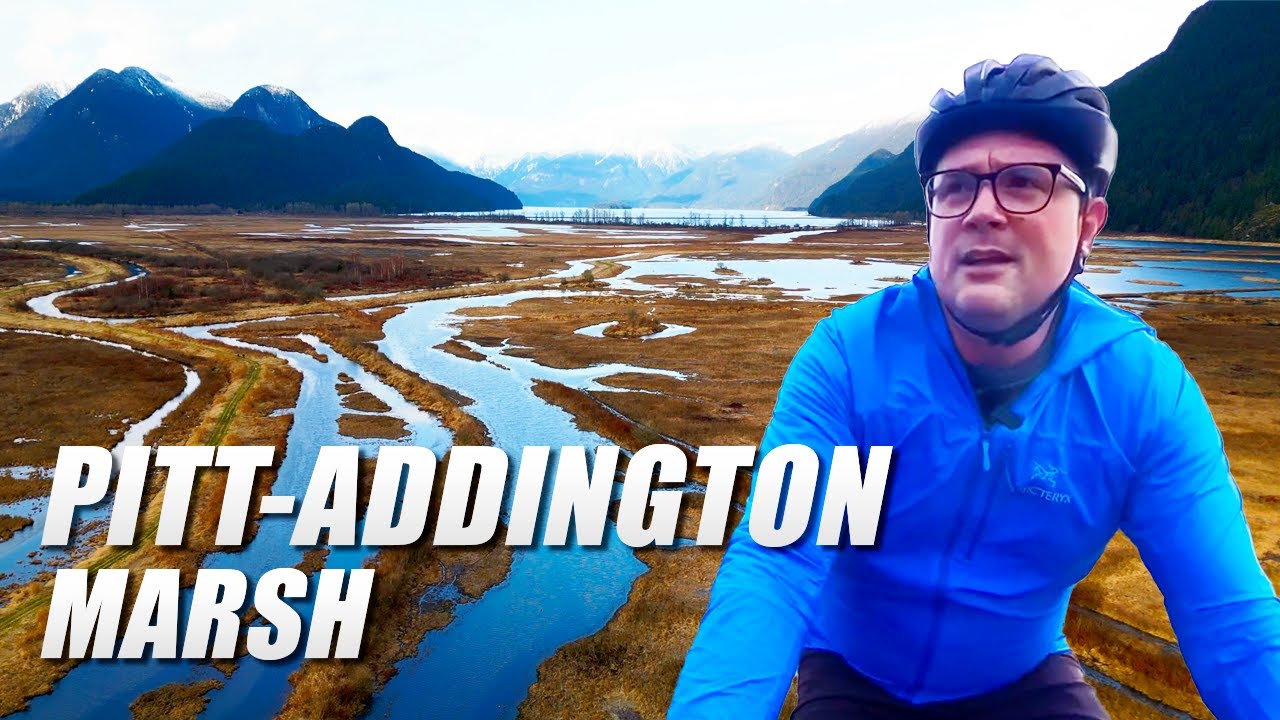 Pitt Addington Marsh