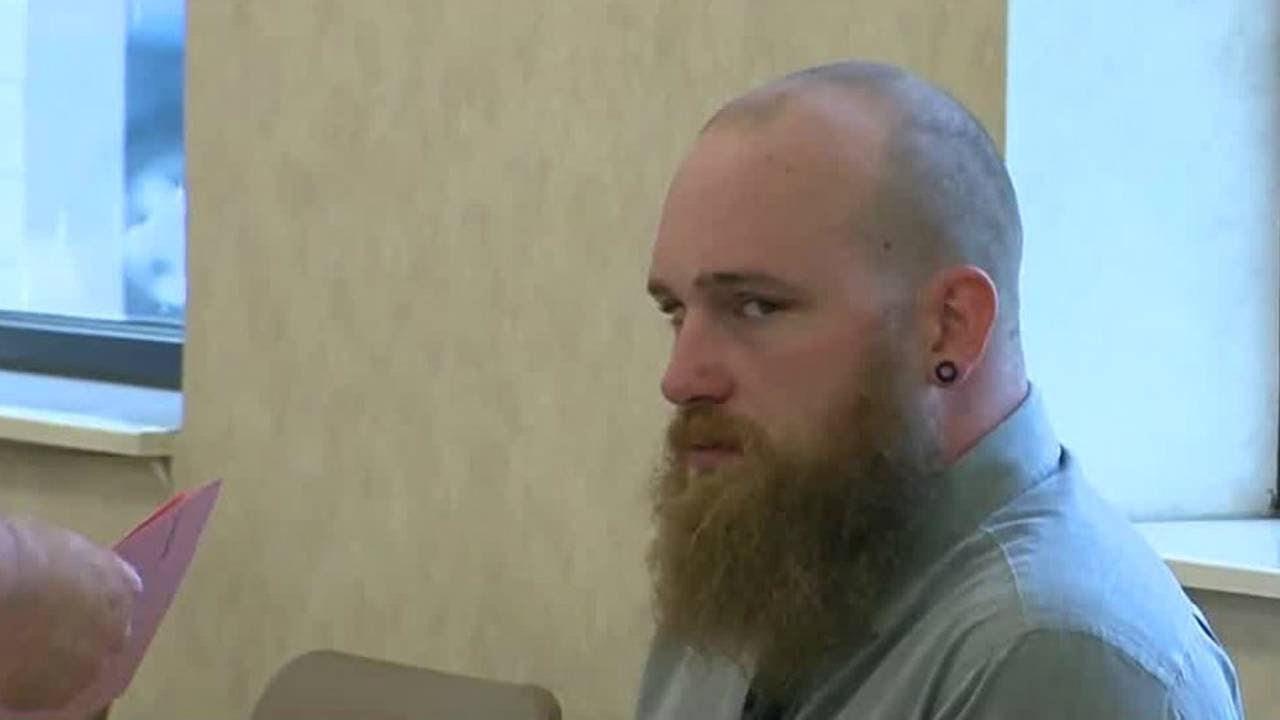 Pit bull owner charged in Roseville mauling