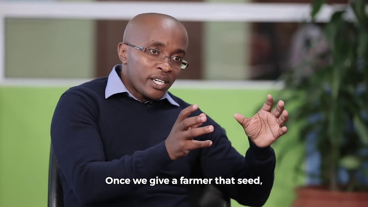 How Digi Farm is Transforming the Lives of Smallholder Farmers
