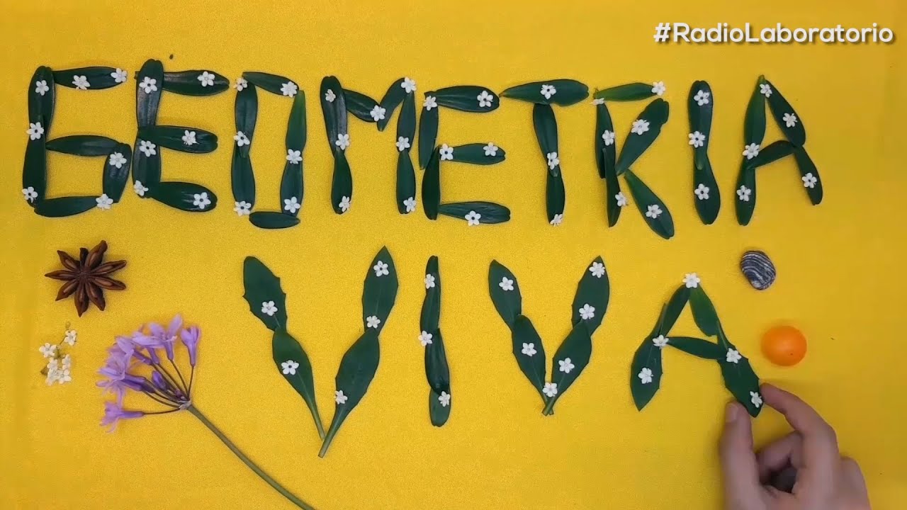 La geometría de la naturaleza | Radio Laboratorio