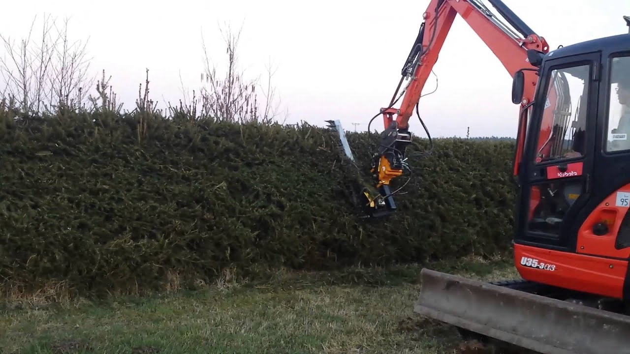 Maschinelles Heckenschneiden mit Bagger - Minibagger