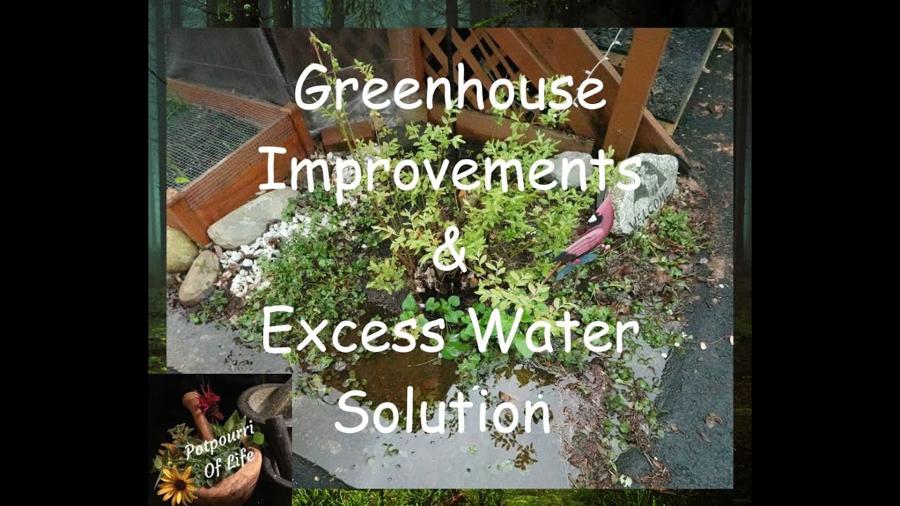 Greenhouse Improvements, Resolve Excess Rain Water #horsepellets #greenhouse #potpourrioflife