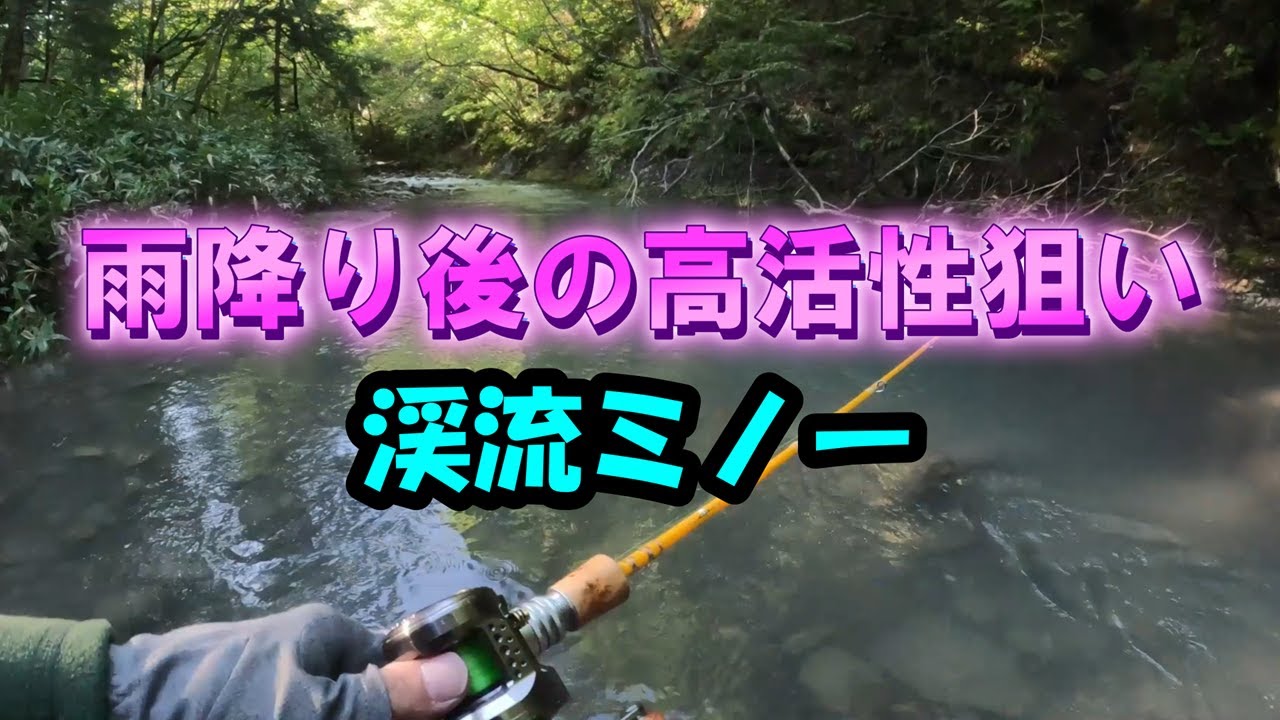 雨降り後の高活性【北海道渓流ベイトフィネス】