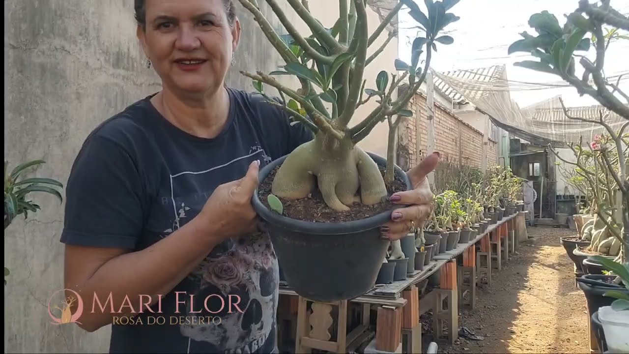Se o vaso ficou OVAL?o jeito é replantar!