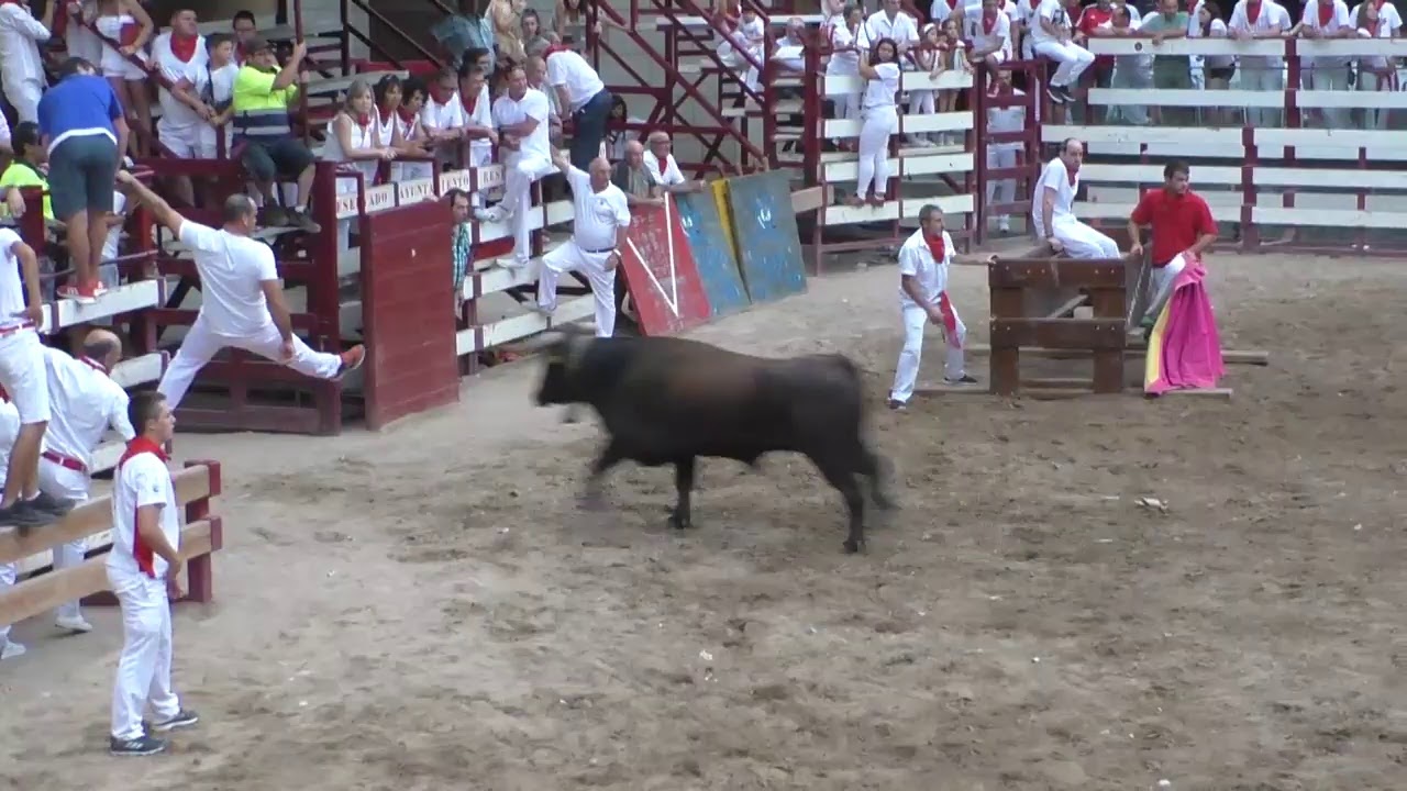 Mendavia, Fiestas 2019, Directo Encierro, Ganadería Hermanos Ustarroz 26/08/19