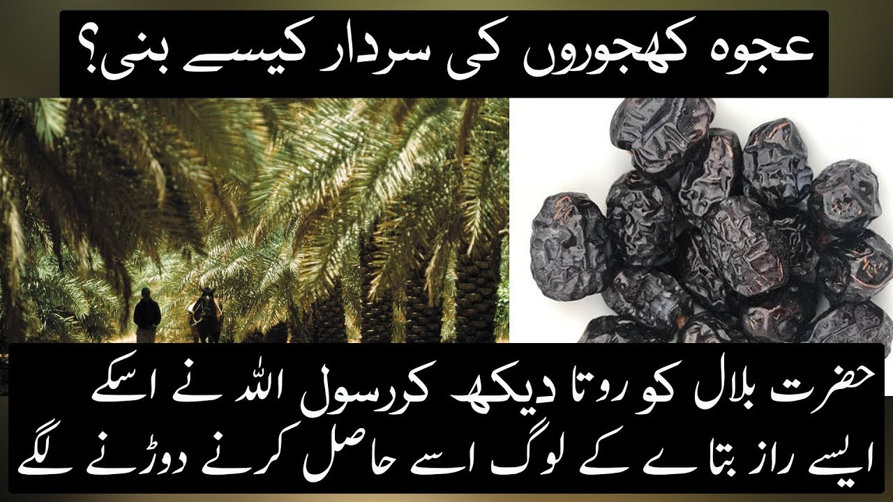 Why and How Ajwa Became The King Of Dates ? | Urdu / Hindi