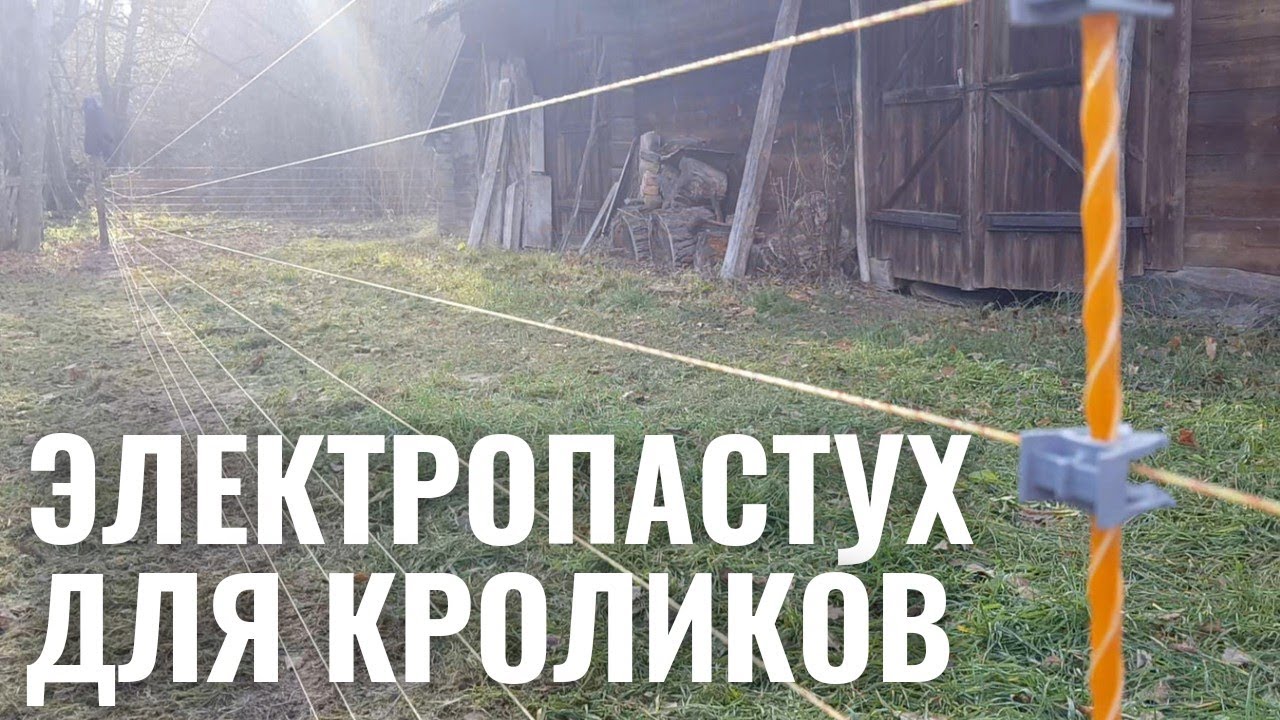 электропастух для кроликов
