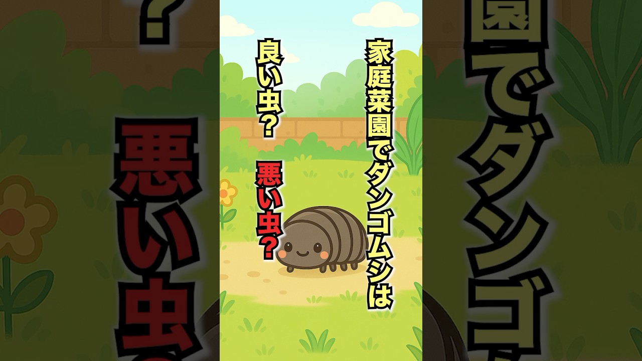 家庭菜園でダンゴムシは良い虫？悪い虫？ #家庭菜園 #ダンゴムシ #ミニトマト栽培