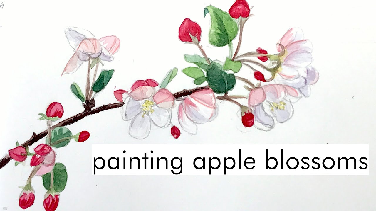 Spring time in my sketchbook | painting apple blossoms | relaxing watercolor video | ASMR