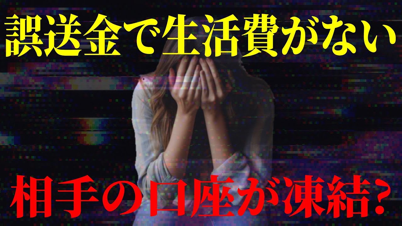 【口座凍結?!】生活保護で友人にコストコ代を誤送金したら口座凍結されて返してえないので支援して