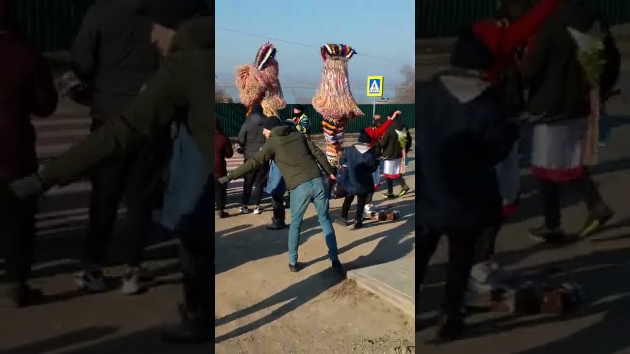 caprili crihana veche .2022.vîlcova