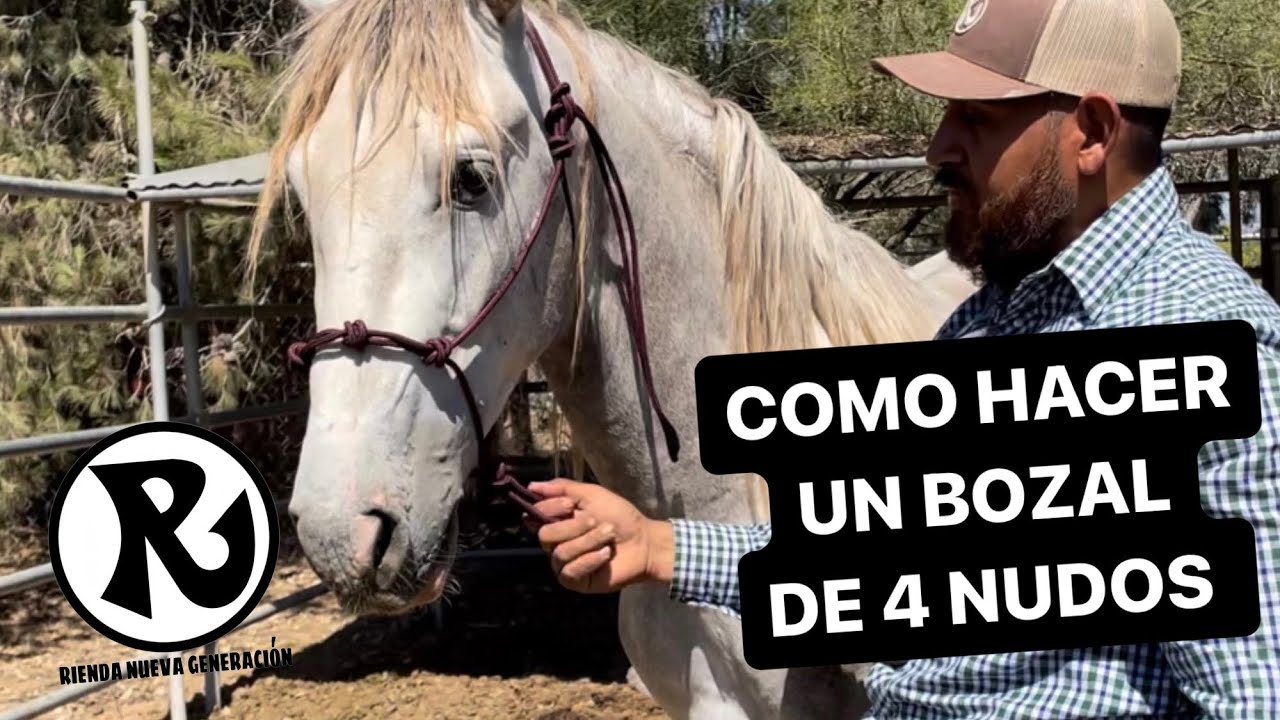 Como hacer un bozal de 4 nudos