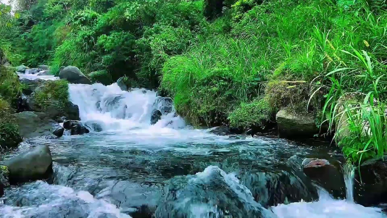 Natural Forest River Sounds, Mountain Stream Flow, Sleep