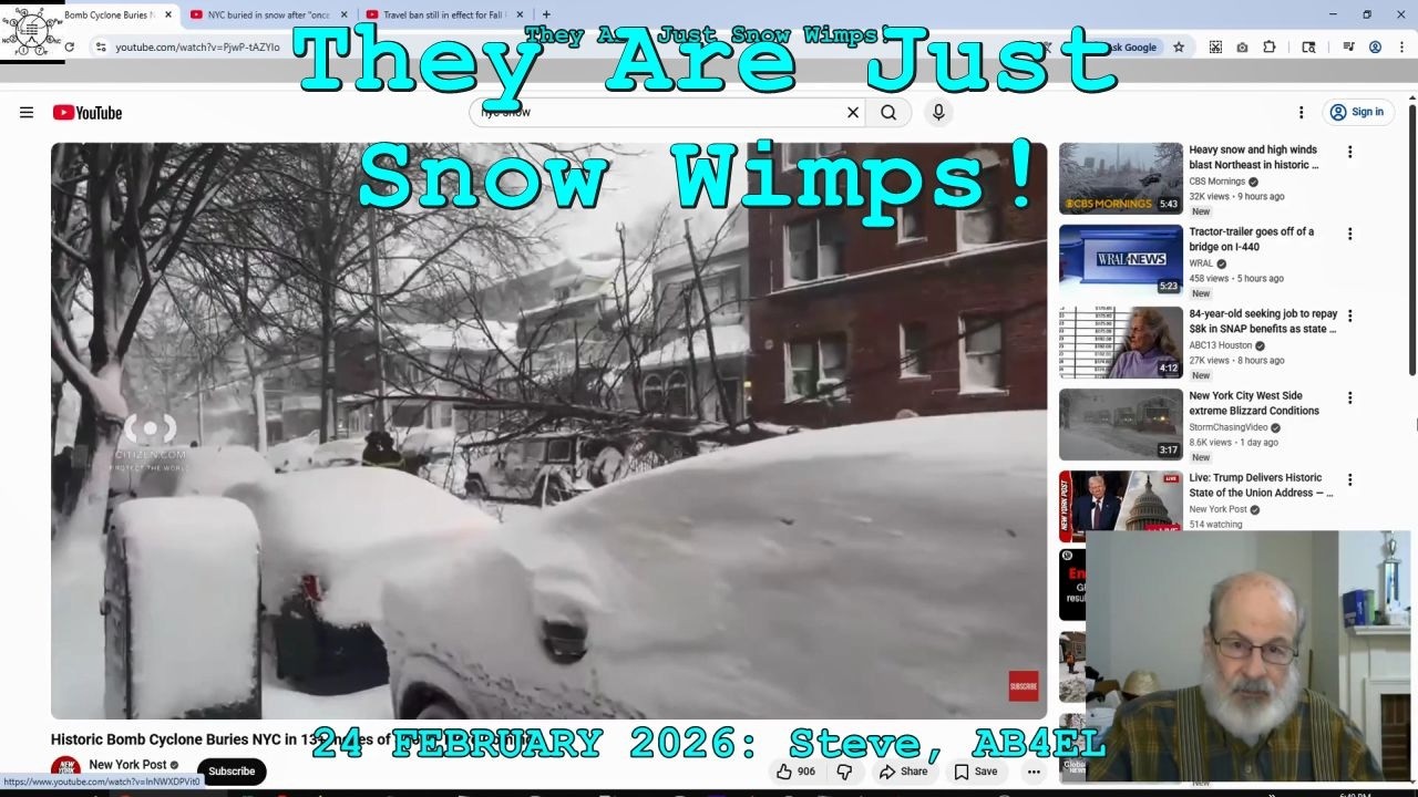 They Are Just Snow Wimps!