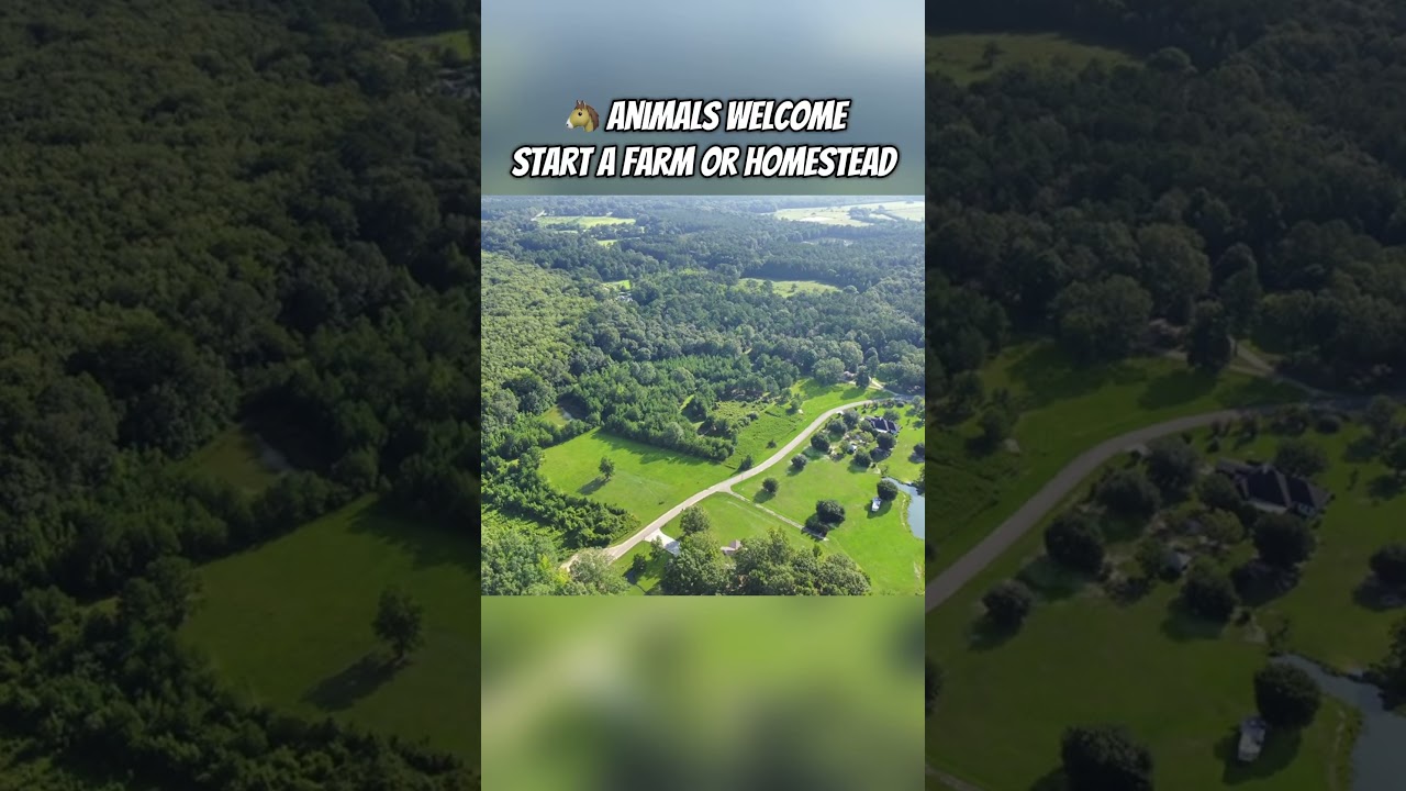 27 Acres of Freedom in Pearl River County, MS! #vacantland #landforsale #sellingland