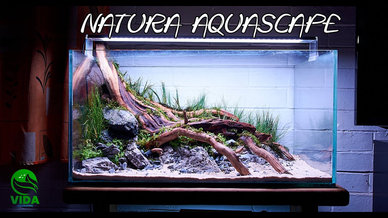 Nuevo AQUASCAPING NATURE Style