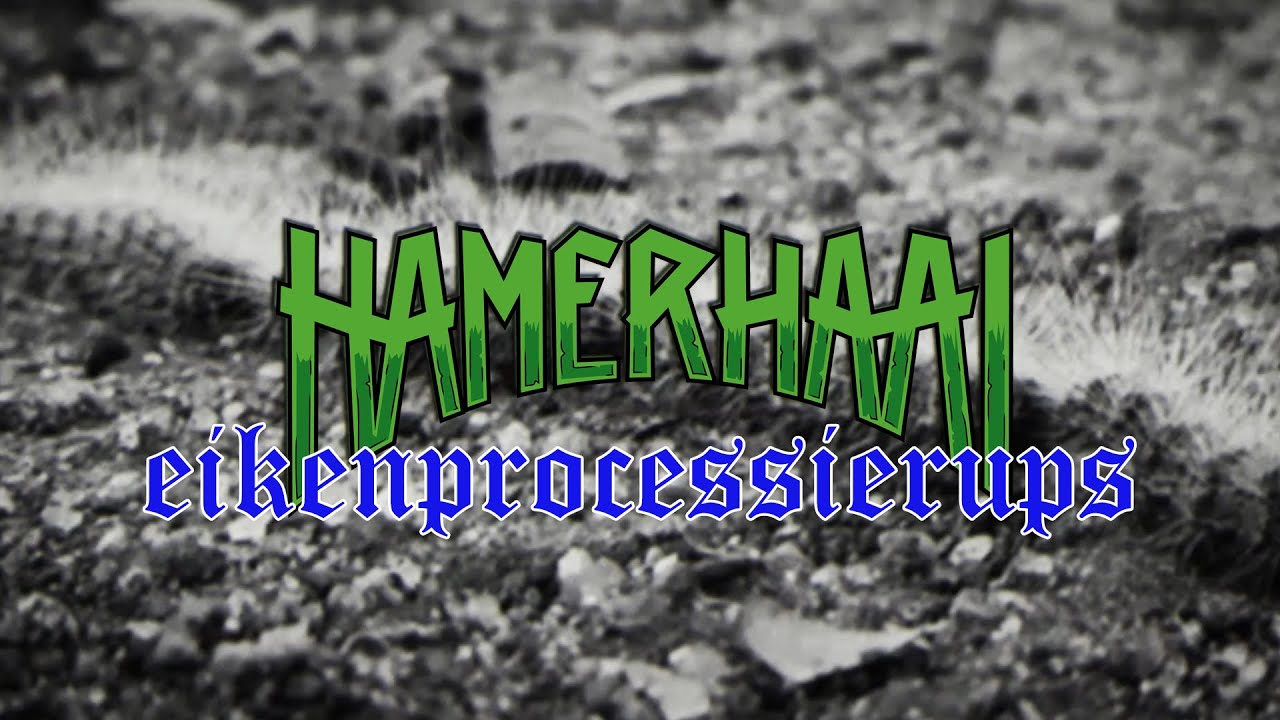 Hamerhaai - Eikenprocessierups (official video)