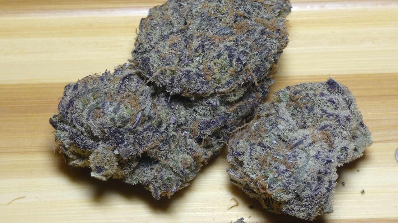 Peyote Critical Fr Bud Empire