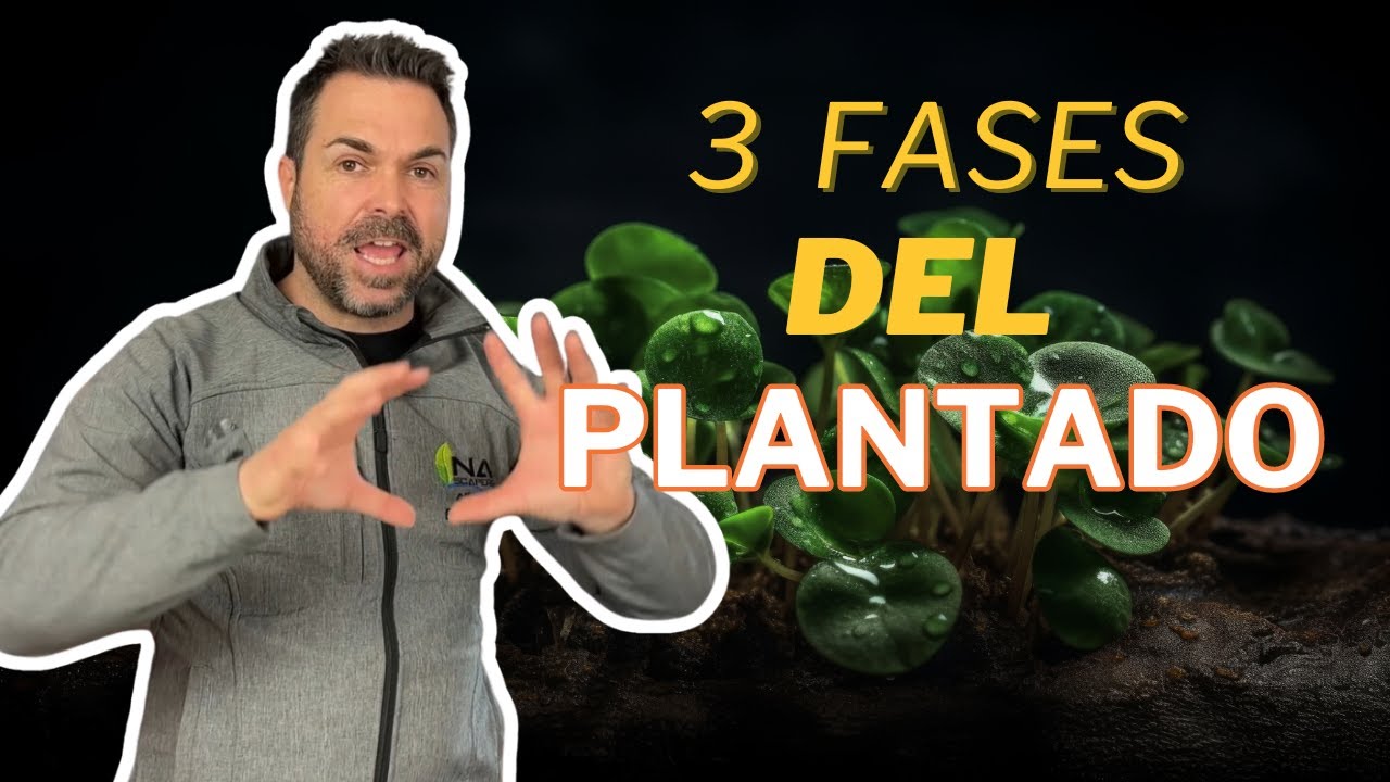 NO ESPERES MÁS: Planta al inicio del ciclado 🌱🐠
