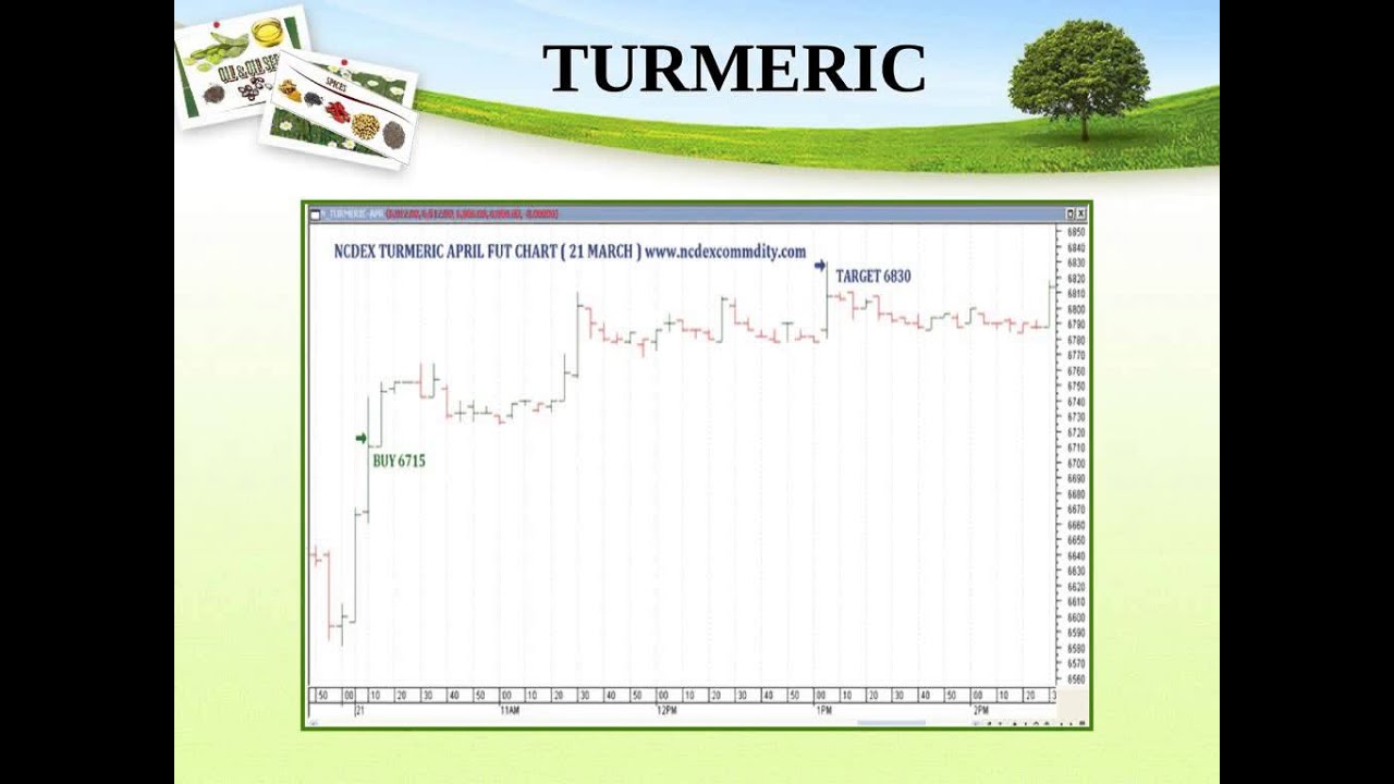 Single Target Calls In Ncdex Commodity :  25 Mar 2013