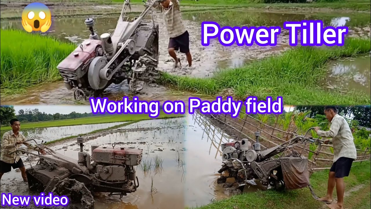 Kamco Power Tiller. How it work on the Paddy field