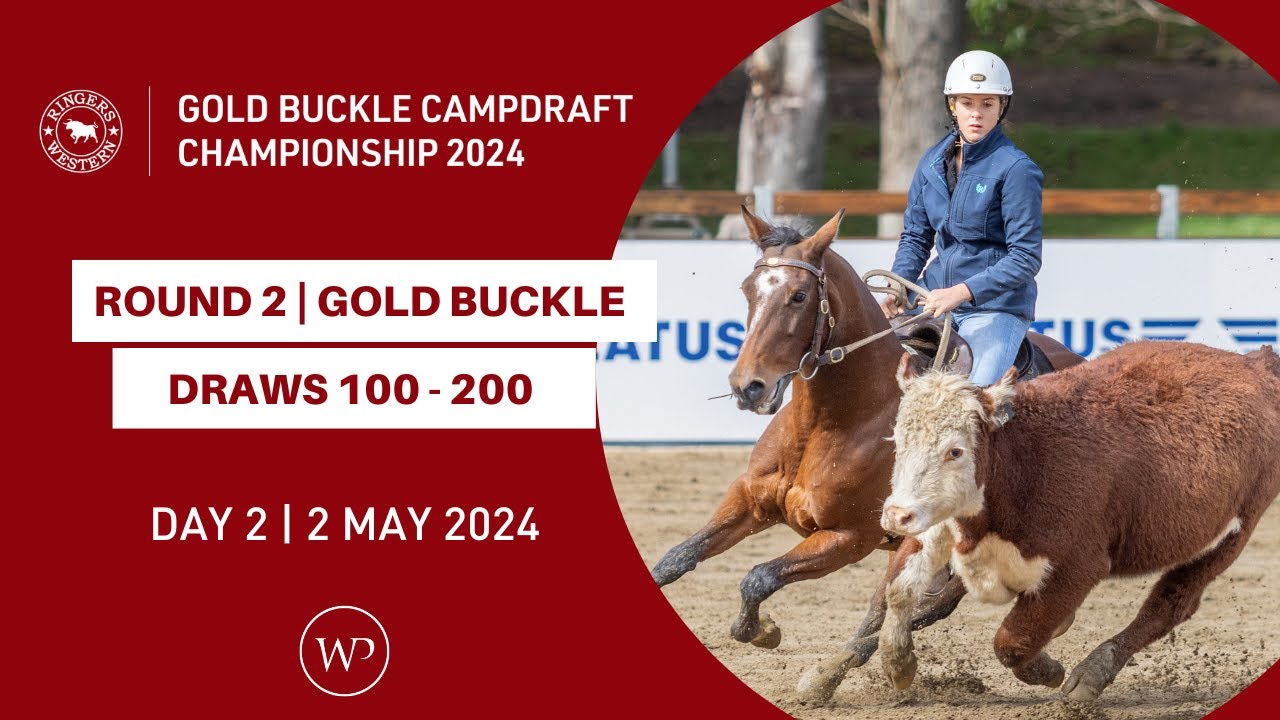 ROUND 2 | Ringers Western Gold Buckle Campdraft Championship 2024 | Draws 100 - 200