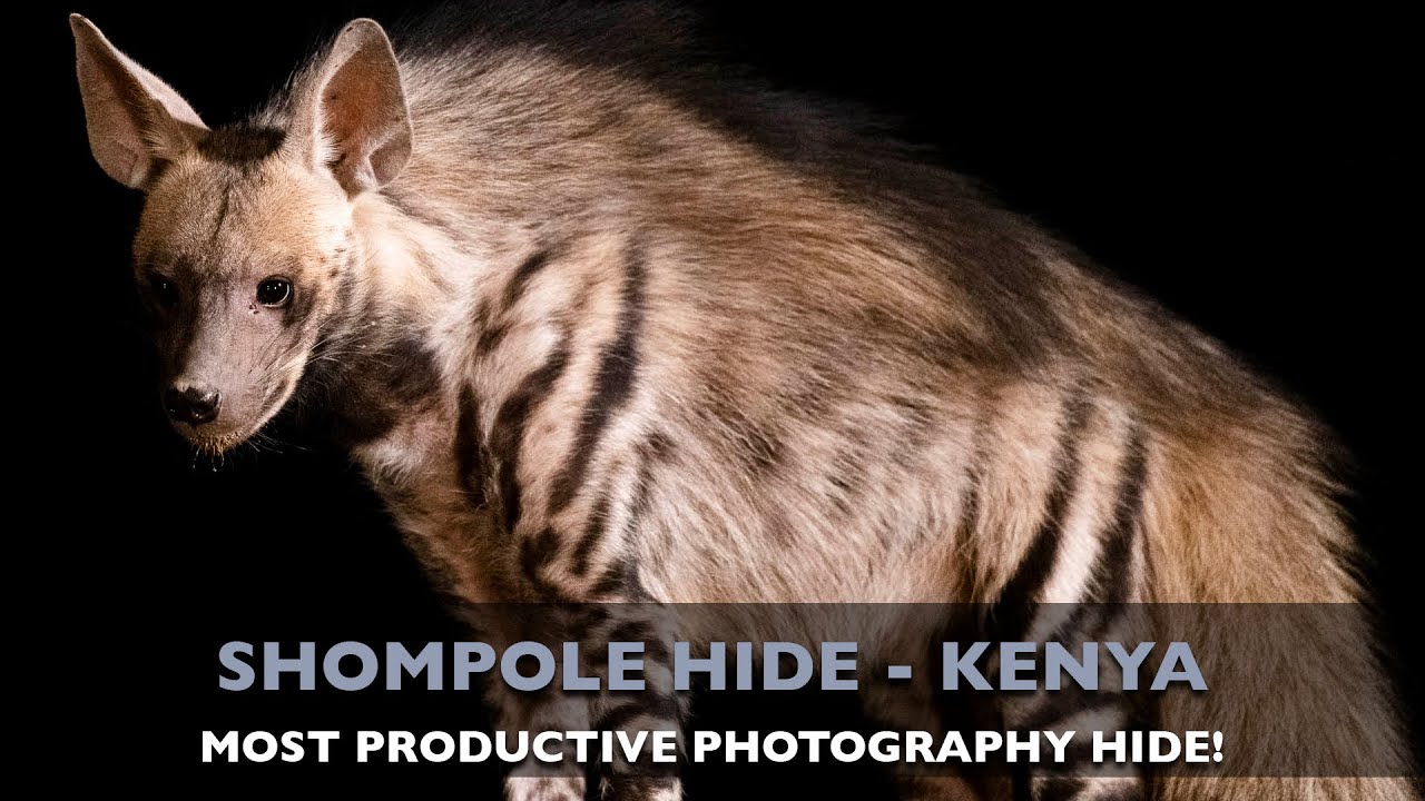 SHOMPOLE HIDE PHOTOGRAPHY - KENYA
